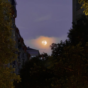 治愈纯音的专辑舒适温暖的夜晚 助眠轻音乐减压纯音乐