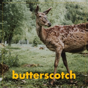 收聽Happy Hunting Ground的Butterscotch歌詞歌曲