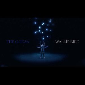 收聽Wallis Bird的The Ocean歌詞歌曲