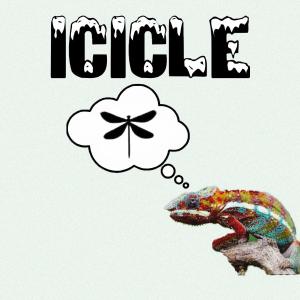 CONDUCTOR 的专辑Icicle
