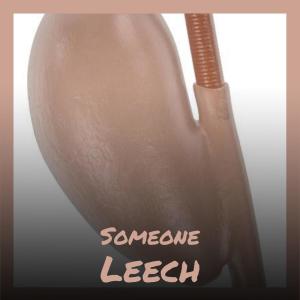 Listen to Someone Leech song with lyrics from Deleta Kich