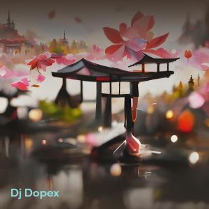 收聽Dj Dopex的PUTH YOUR FLAGS NIKO STYLE (Explicit)歌詞歌曲