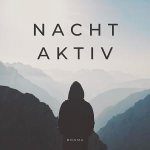ดาวน์โหลดและฟังเพลง Nachtaktiv พร้อมเนื้อเพลงจาก Booma