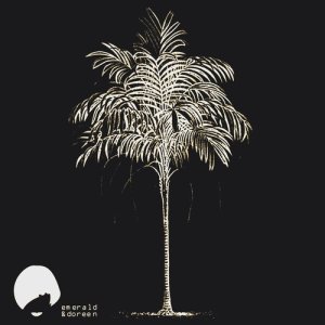 收聽Daytona的Beach Boy (Drew Miller's Cosmic Remix)歌詞歌曲