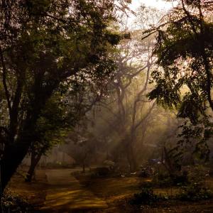 Dengarkan Glowing in the Dark lagu dari SPA dengan lirik