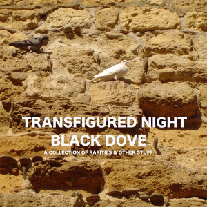 ดาวน์โหลดและฟังเพลง Brother & Sister (B-Side) พร้อมเนื้อเพลงจาก Transfigured Night