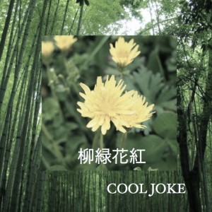 Album ryuuryokukakou from cool joke