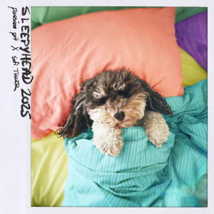 Album Sleepyhead 2025 from Passion Pit