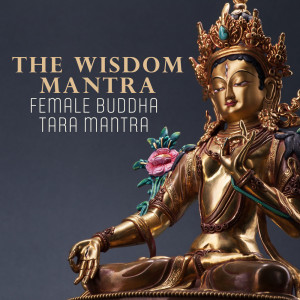 Dengarkan Karma Suite lagu dari Therapeutic Tibetan Spa Collection dengan lirik