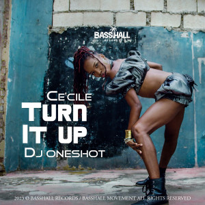 Album Turn It Up from DJ Oneshot