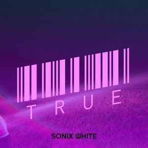 Sonix White的专辑True (Explicit)