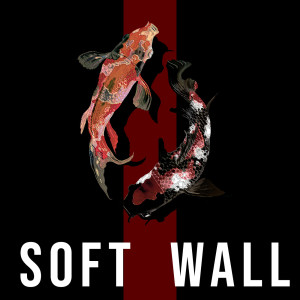 Album SOFT WALL from Shoujy