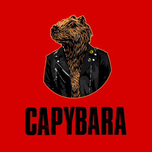 Listen to Stoned song with lyrics from Capybara
