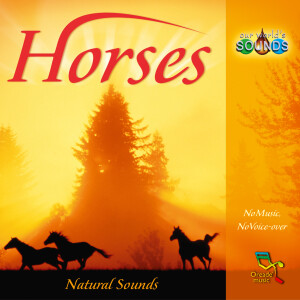 อัลบัม Horses ศิลปิน Our World's Sounds