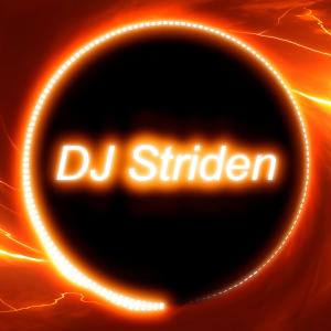 Album Trick Shot oleh DJ Striden