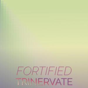 ดาวน์โหลดและฟังเพลง Fortified Trinervate พร้อมเนื้อเพลงจาก Deion Dhong