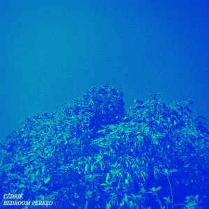 收聽Cedrik的Bedroom Perreo歌詞歌曲