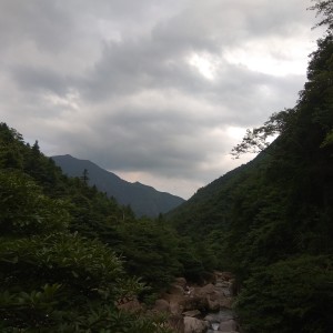 熙兮兮兮的专辑山中客