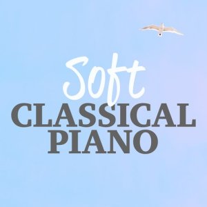 收聽Martin Jacoby的24 Preludes, Op. 28 No. 4 in E Minor歌詞歌曲