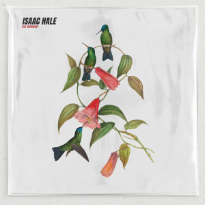 Listen to Use Somebody song with lyrics from Isaac Hale