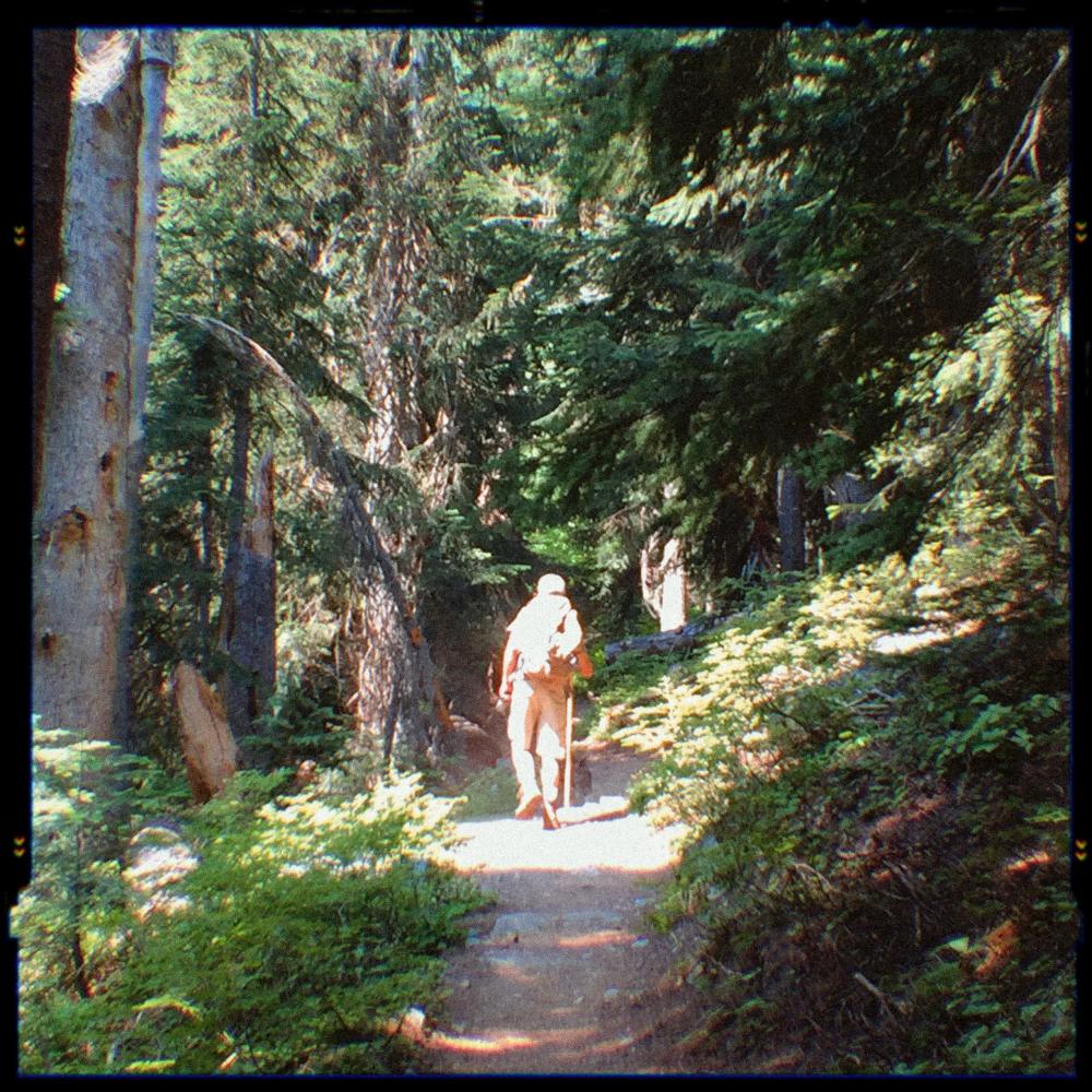 A Nice Walk