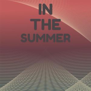 Album In The Summer oleh Silvia Natiello-Spiller