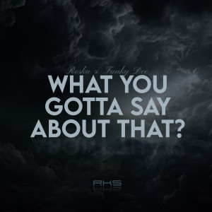 ดาวน์โหลดและฟังเพลง What You Gotta Say About That (Clean Version) พร้อมเนื้อเพลงจาก Roska