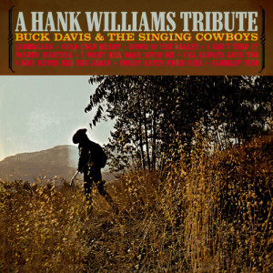 ดาวน์โหลดและฟังเพลง I May Never See You Again พร้อมเนื้อเพลงจาก Buck Davis