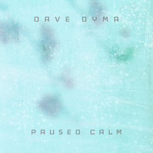 ดาวน์โหลดและฟังเพลง True Cover พร้อมเนื้อเพลงจาก Dave Dyma
