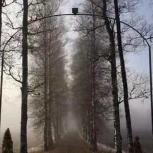 Listen to Mabon (Equinox Mix) song with lyrics from John Richardson