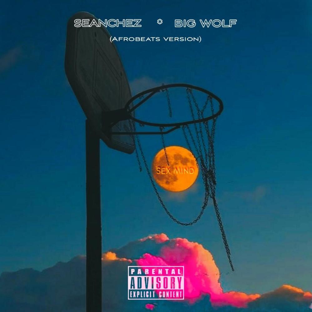 Sex Mind (feat. Big Wolf) (Explicit)