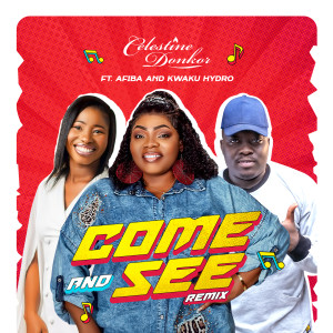 Album Come and See (Remix) from Celestine Donkor
