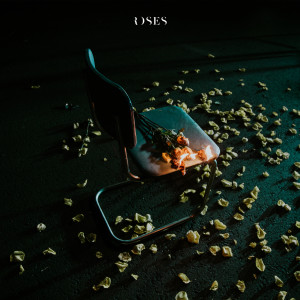 收聽A is for Arrows的Roses歌詞歌曲