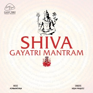 收聽Veda Pandits的Shiva Gayatri Mantram歌詞歌曲