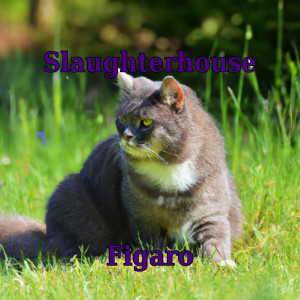 Slaughterhouse的專輯Figaro (Explicit)