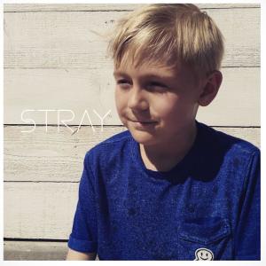 收听The Future的Stray歌词歌曲