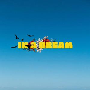 Intercept的專輯In A Dream