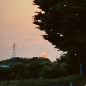 Ryoga Tohyama的專輯Night Wind (feat. mois)