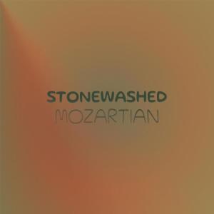 Album Stonewashed Mozartian oleh Various