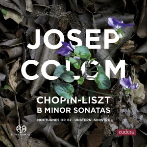 Dengarkan Piano Sonata in B Minor, S. 178: III. Allegro energico lagu dari Josep Colom dengan lirik