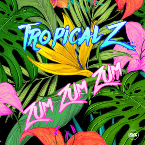 Album Zum Zum Zum oleh Tropical Z