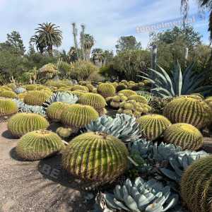 Listen to Be song with lyrics from Tunnelmental