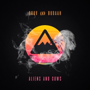 Album Aliens and Cows from Bruv