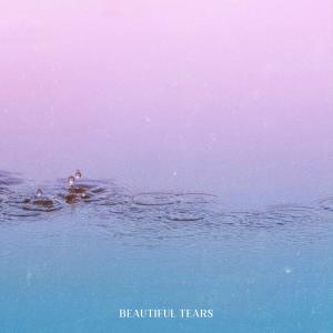 Dez Busta的專輯Beautiful Tears