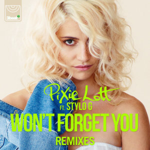 ดาวน์โหลดและฟังเพลง Won't Forget You (Endor Radio Edit) พร้อมเนื้อเพลงจาก Pixie Lott