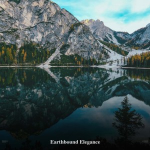 Album !!!!" Earthbound Elegance "!!!! oleh ohm waves