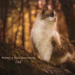 ดาวน์โหลดและฟังเพลง Cat (Explicit) พร้อมเนื้อเพลงจาก Wooji
