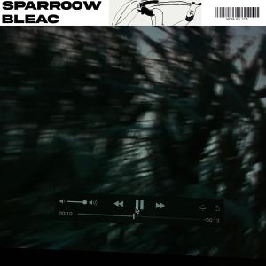 收聽sparr00w的Kein Stop (feat. bleac) (Explicit)歌詞歌曲