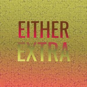 Various Artists的專輯Either Extra