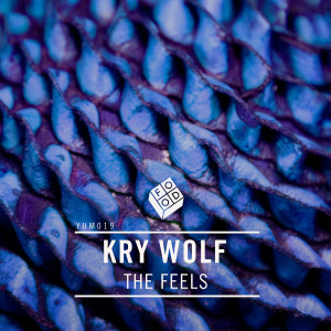 ดาวน์โหลดและฟังเพลง The Feels (Original Mix) พร้อมเนื้อเพลงจาก Kry Wolf